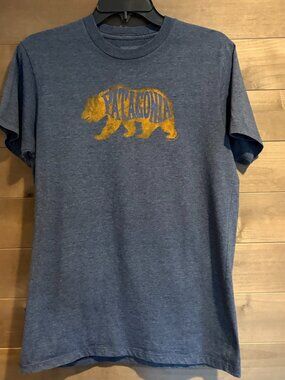 PATAGONIA Fitz Roy Bear Organic Cotton Tee Shirt Top Sz M